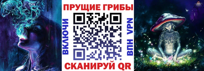 Купить Бузулук Галлюциногенные грибы Magic Shrooms